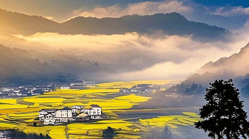 婺源江岭-梯田风光