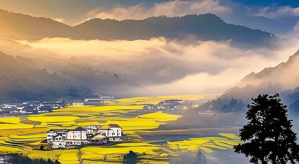 婺源江岭-梯田风光