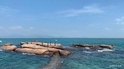 海鸥岛红树林湿地公园第 1 张图片