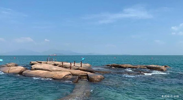 海鸥岛红树林湿地公园