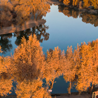 139胡杨秘境自驾公路