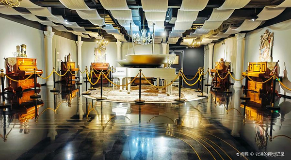 成都市双流区芯智慧音乐博物馆