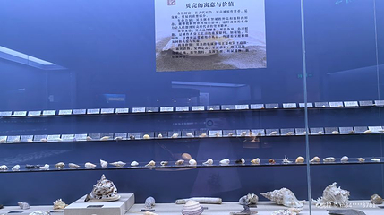 三亚山海贝文化博物馆第 1 张图片