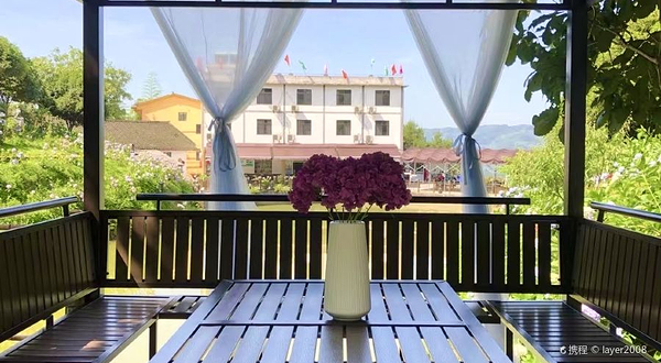 巴南石龙绣球花海