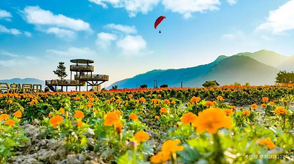 瑞安曹村航空飞行营地第 1 张图片