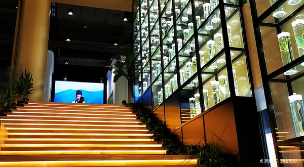 中国关药博物馆