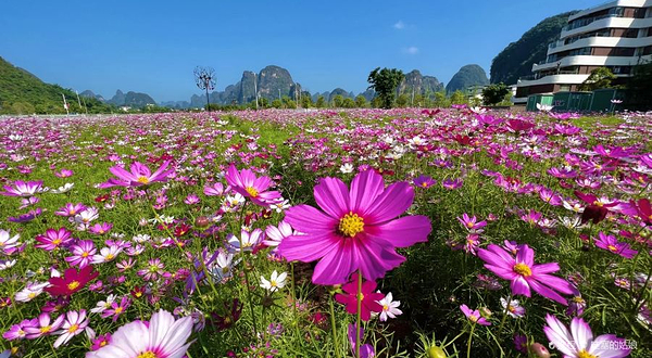 凤凰·山水尚境