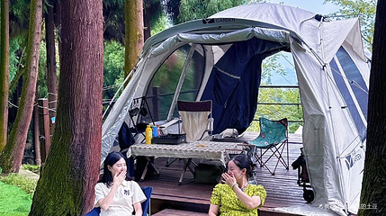 迷雾森林营地第 1 张图片