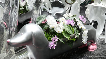 中国花园节(常州)