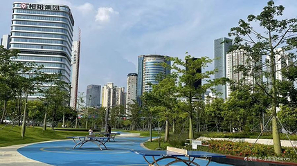南海公园第 1 张图片