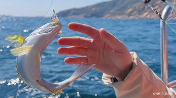 朱家尖海钓俱乐部