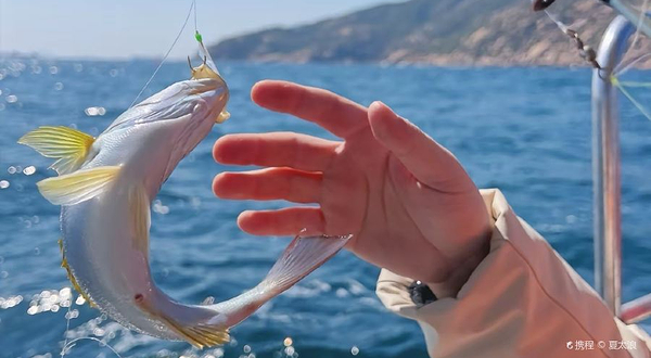 朱家尖海钓俱乐部