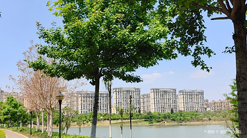 蒙自市文澜公园