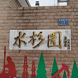 湖北潜江水杉园景区