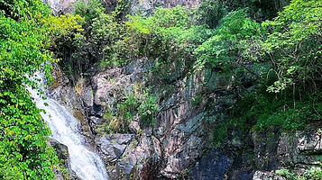 芦际潭森林公园