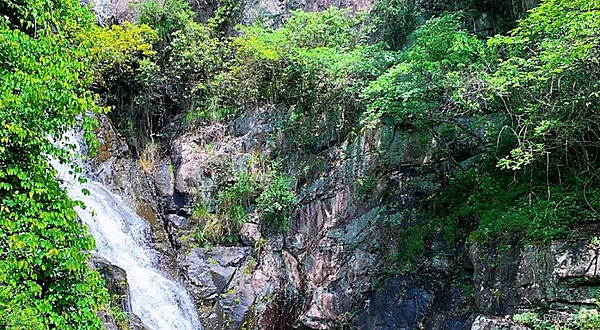 芦际潭森林公园