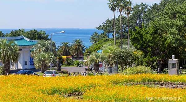 中文旅游观光区