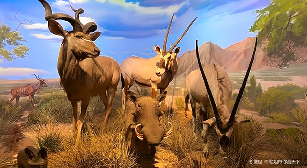 国家海洋博物馆-今日海洋展厅