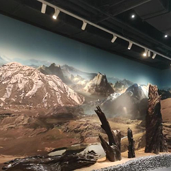 华夏神木博物馆