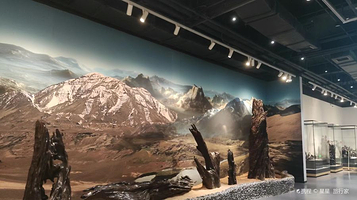 华夏神木博物馆