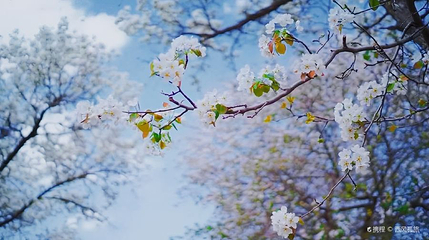 南长滩村第 1 张图片
