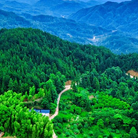 三爪仑国家森林公园