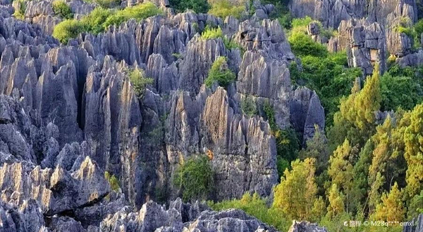 石林风景区-观景台