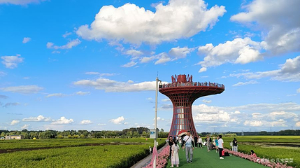 闫家岗农场稻田画观光塔第 1 张图片