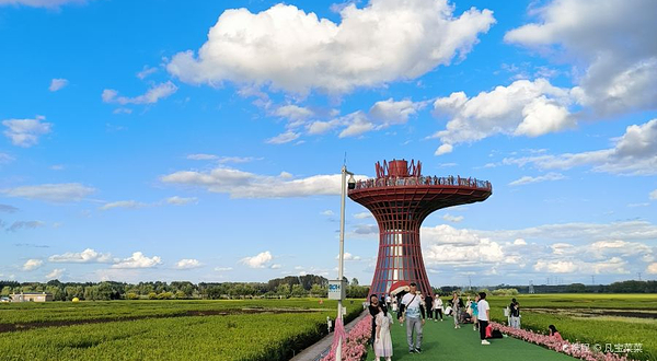 闫家岗农场稻田画观光塔