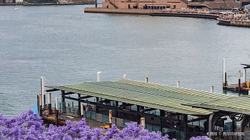 Eastern Pontoon Circular Quay