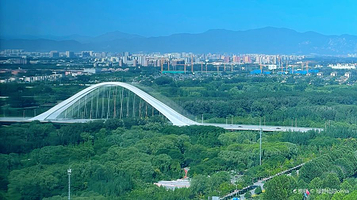 Natural World自然界·虫博馆