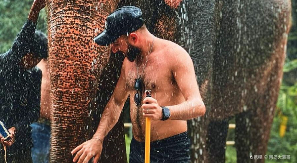 泰萌大象营（奈通海滩分园）