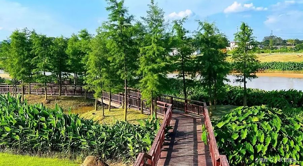 广州市黄埔区洋田野生稻自然保护区