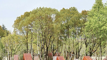 西岸自然艺术公园一期