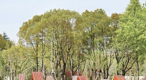 西岸自然艺术公园一期