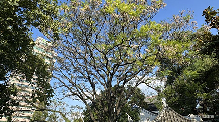 晴川阁景区-禹碑亭第 1 张图片