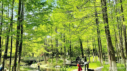 小浃江公园第 1 张图片