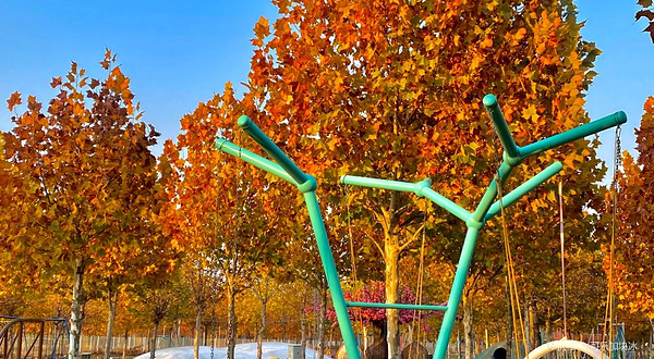 梦幻岛亲子乐园