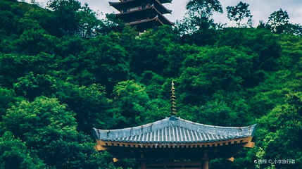 玉佛寺第 1 张图片