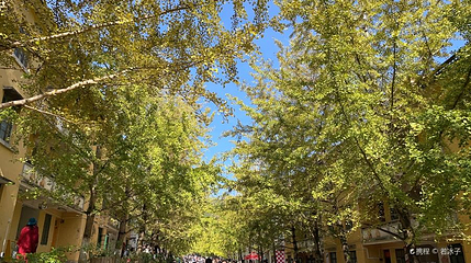 帽子峰旅游景区-黄金大道第 1 张图片