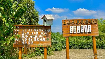 西溪神画田园第 1 张图片