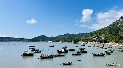 小白鹭沙滩第 1 张图片