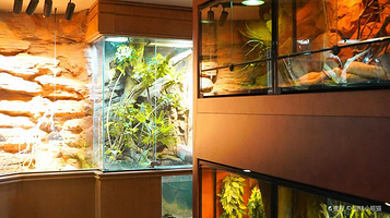 帕帕拉兹爬宠博物馆