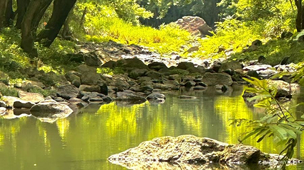 韩妃江游步道第 1 张图片