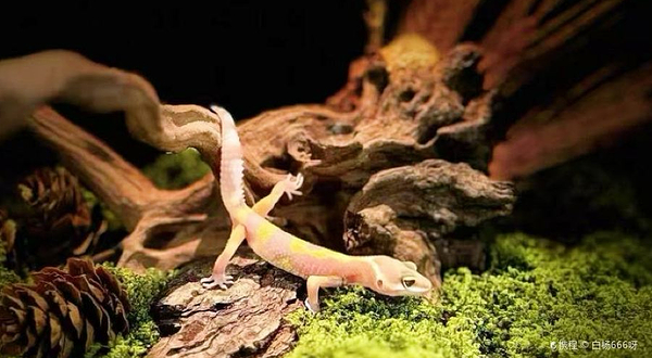 佛山活体昆虫博物馆