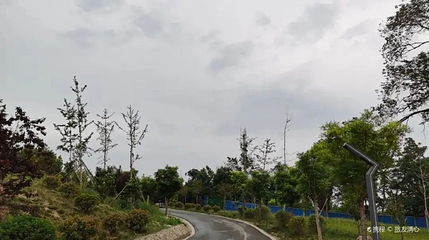 龙山公园第 1 张图片