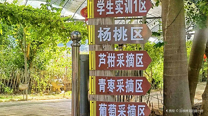 雷公山休闲山庄第 1 张图片