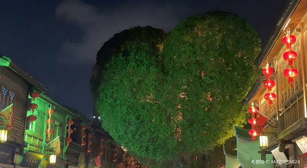 三坊七巷-爱心树