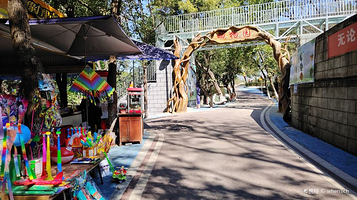 攀枝花公园-动物园