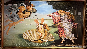 疯狂兔子宇宙博物馆之兔兔来野